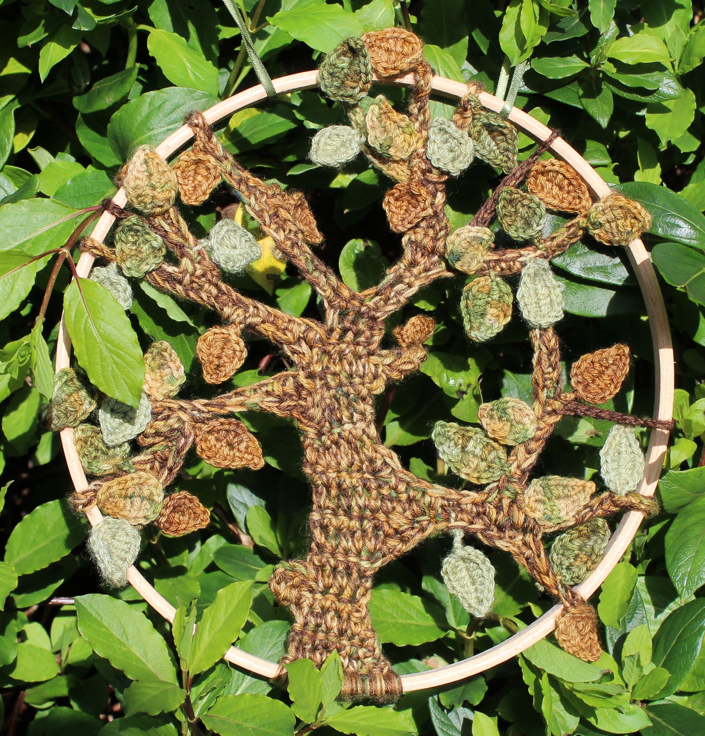 Subscription - A Year of Trees