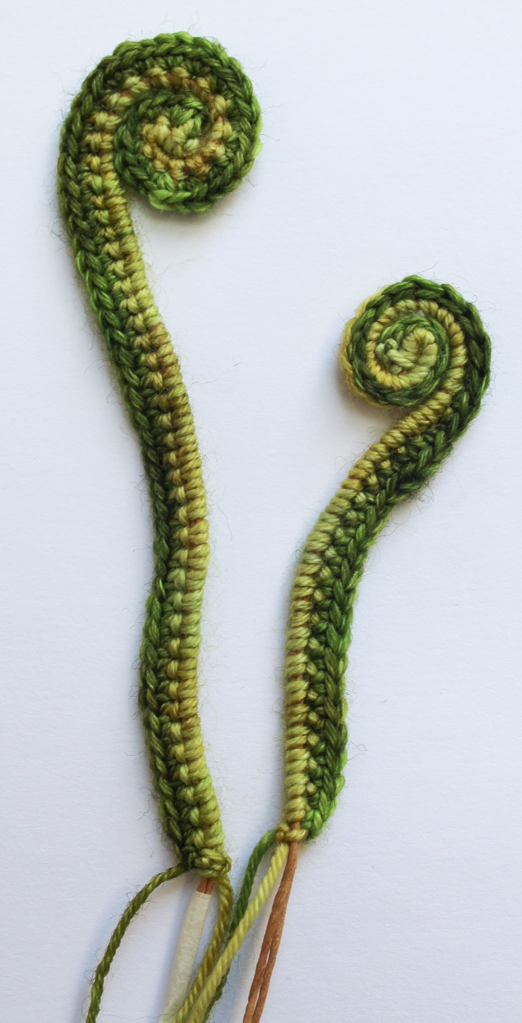 Boston Fern Mandala Kit