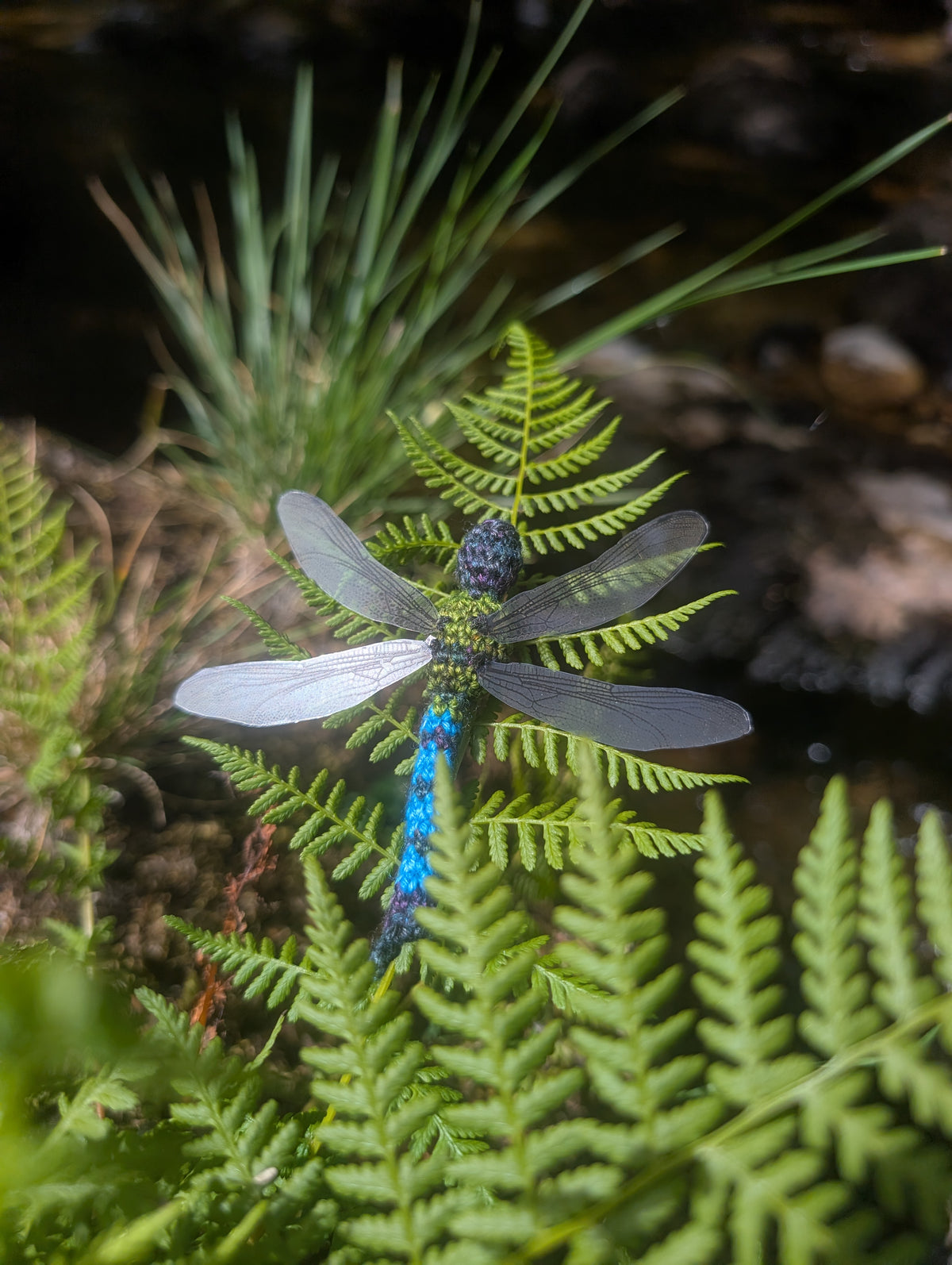 Dragonfly Kit