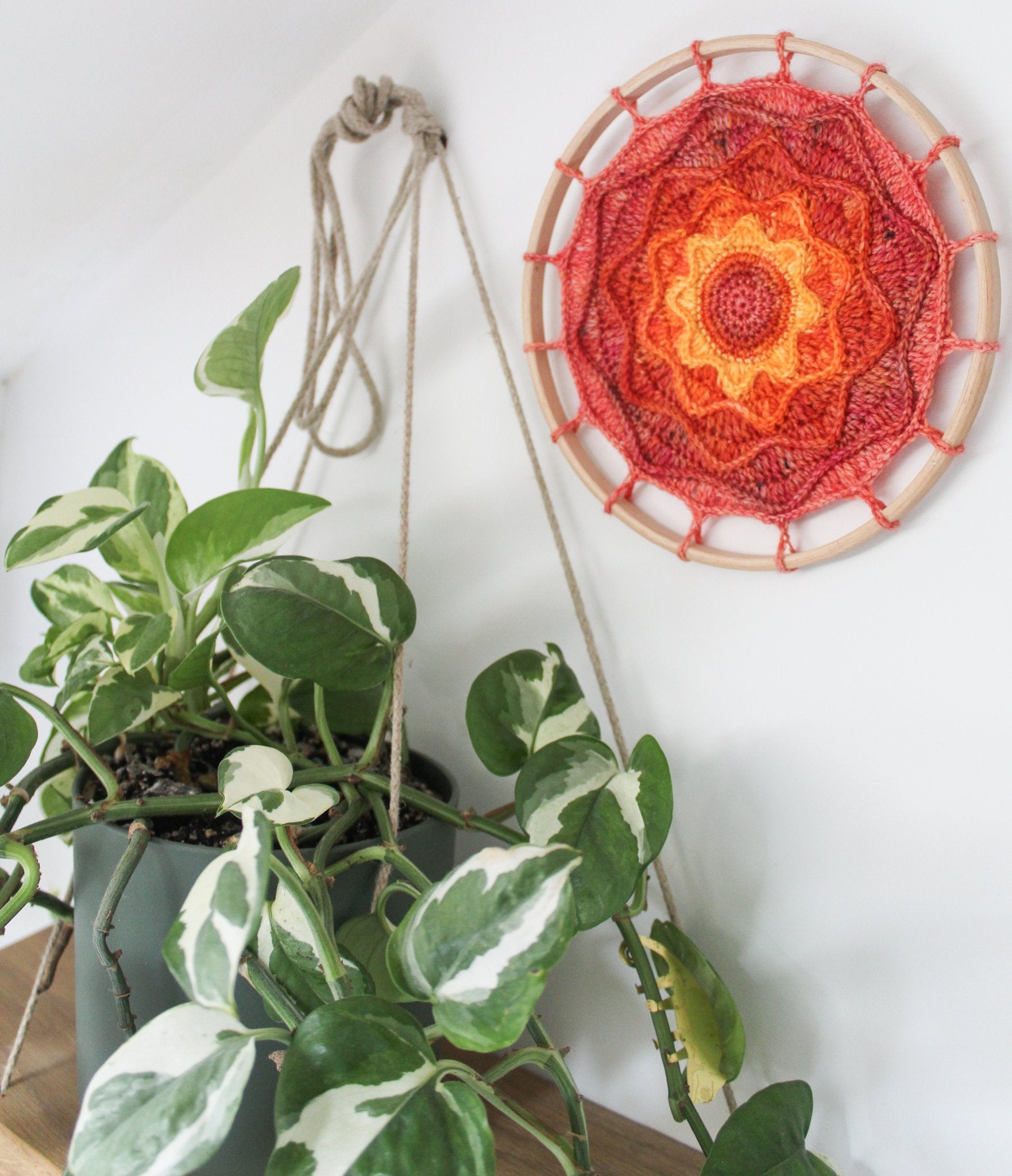 Summer Sunset Mandala hanging on a white wall with a hanging plant next to it