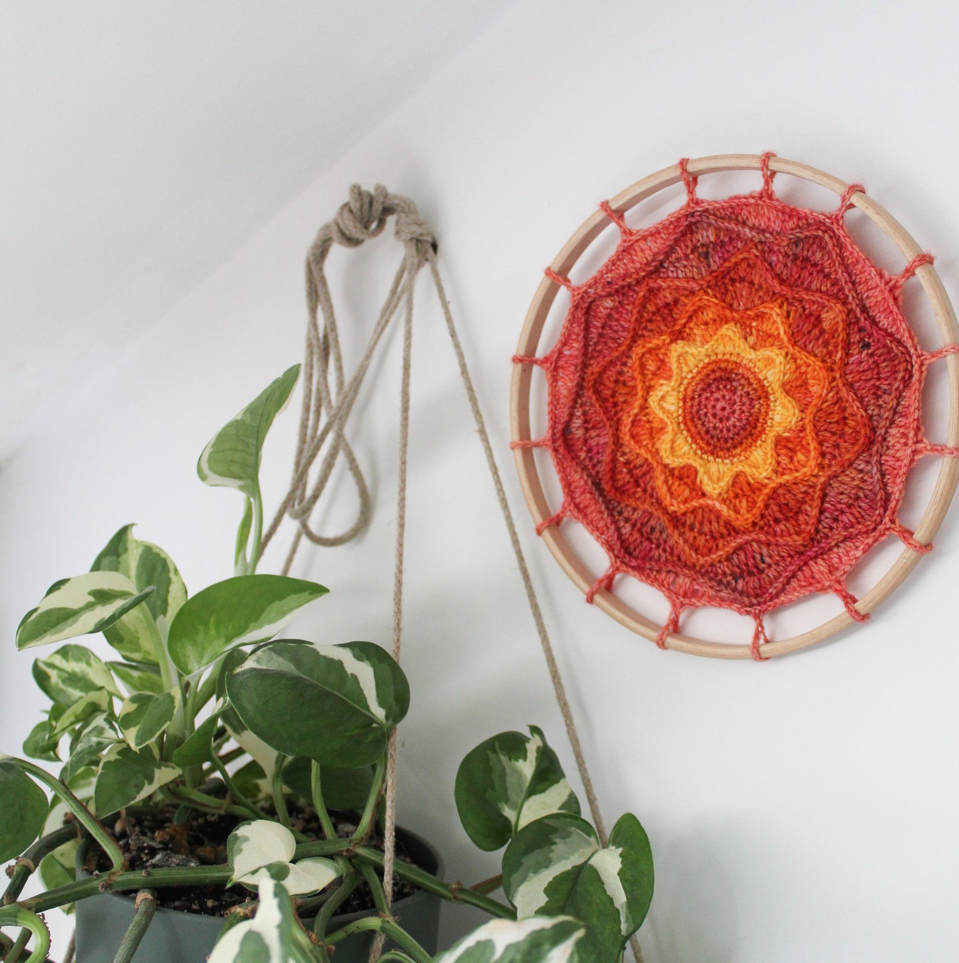 Summer Sunset Mandala hanging on a white wall with a hanging plant next to it
